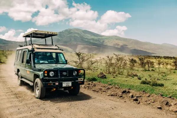 African Safari Hunt for 2
